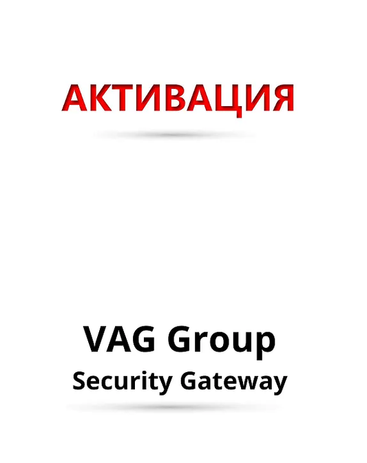 Лиценз VAG Group Security Gateway (SFD) - 12 месеца за Thinktool уреди за автодиагностика