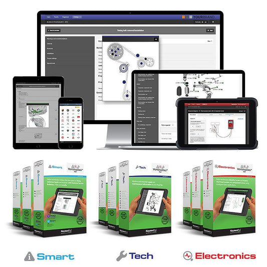 HaynesPro WorkshopData™ CarSET сервизна база данни с опция на български език